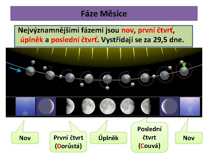 Fáze Měsíce Nejvýznamnějšími fázemi jsou nov, první čtvrť, úplněk a poslední čtvrť. Vystřídají se