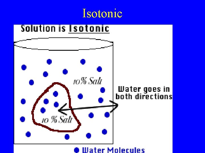 Isotonic 