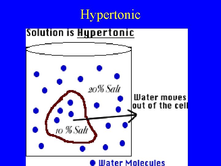 Hypertonic 