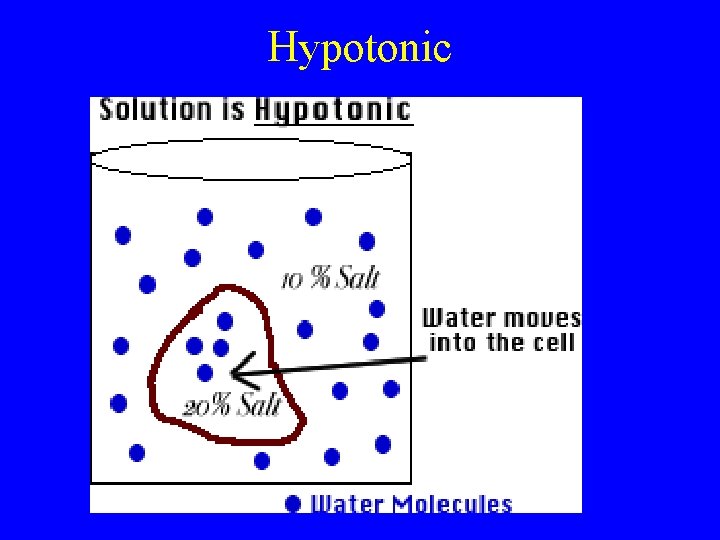 Hypotonic 