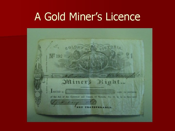 A Gold Miner’s Licence 