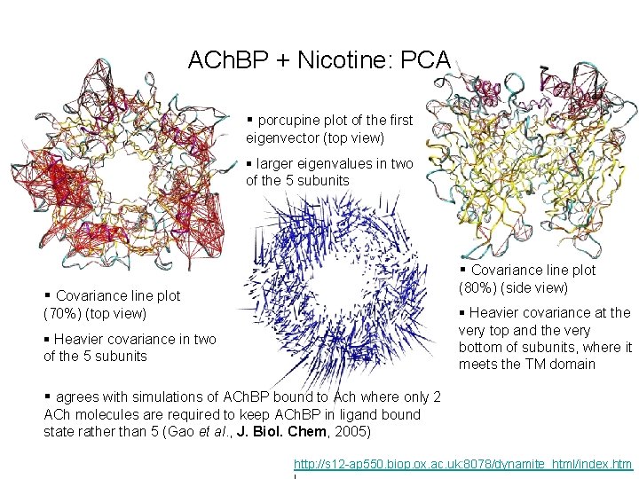 ACh. BP + Nicotine: PCA § porcupine plot of the first eigenvector (top view)