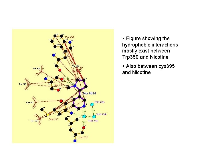 § Figure showing the hydrophobic interactions mostly exist between Trp 350 and Nicotine §