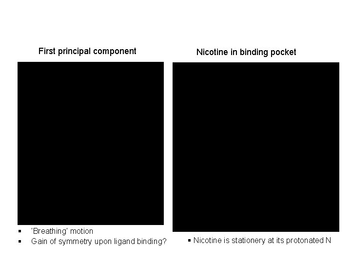First principal component § § ‘Breathing’ motion Gain of symmetry upon ligand binding? Nicotine