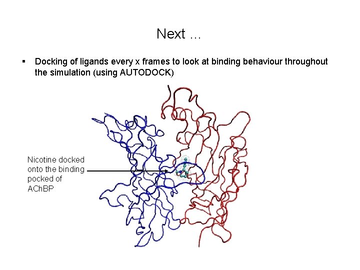 Next … § Docking of ligands every x frames to look at binding behaviour