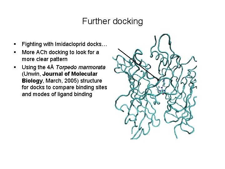 Further docking § § § Fighting with Imidacloprid docks… More ACh docking to look