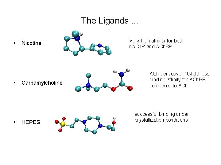 The Ligands … § § § Nicotine Carbamylcholine HEPES Very high affinity for both