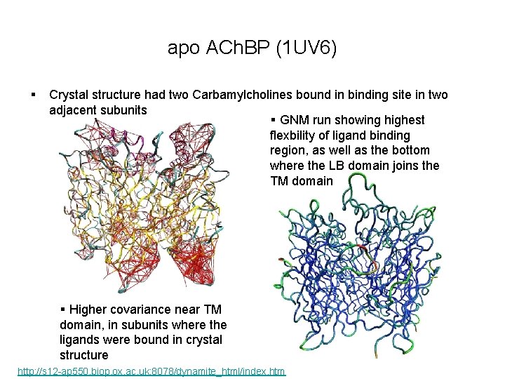 apo ACh. BP (1 UV 6) § Crystal structure had two Carbamylcholines bound in