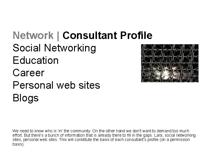 Network | Consultant Profile Social Networking Education Career Personal web sites Blogs We need
