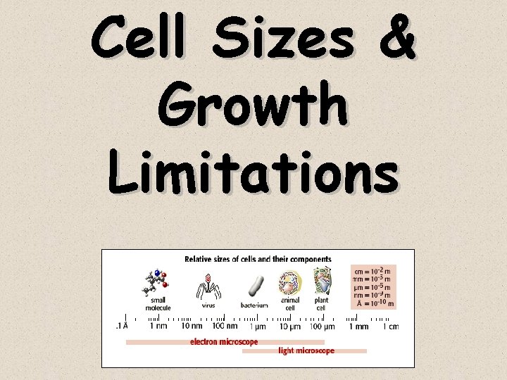 Cell Sizes & Growth Limitations 