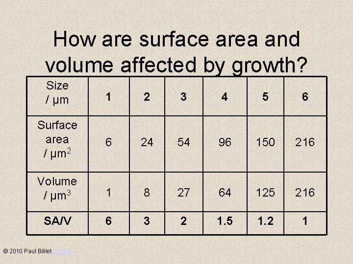 How are surface area and volume affected by growth? Size / µm 1 2