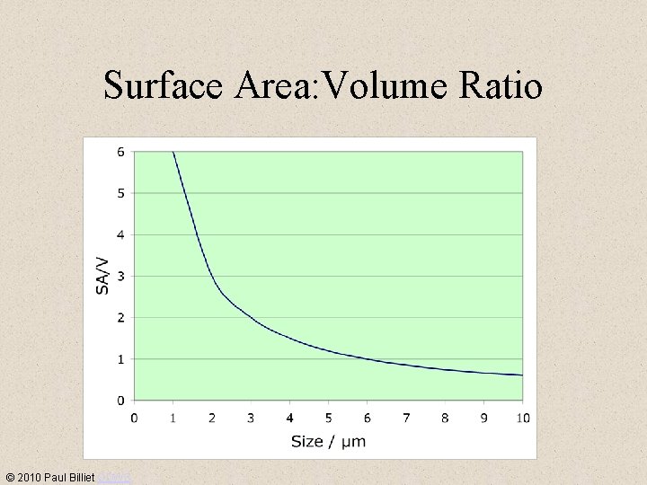Surface Area: Volume Ratio © 2010 Paul Billiet ODWS 