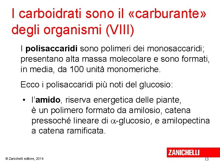 I carboidrati sono il «carburante» degli organismi (VIII) I polisaccaridi sono polimeri dei monosaccaridi;