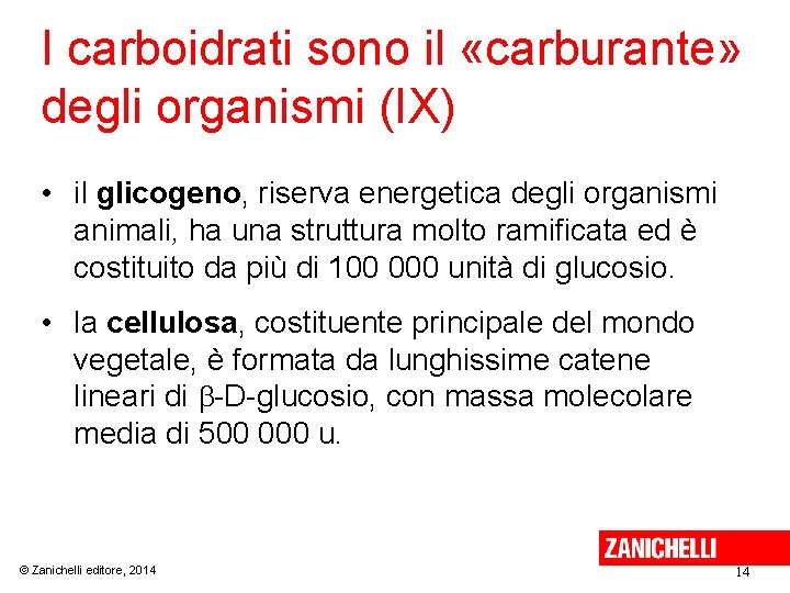 I carboidrati sono il «carburante» degli organismi (IX) • il glicogeno, riserva energetica degli