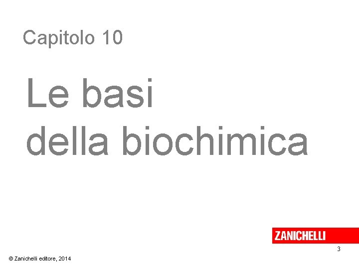 Capitolo 10 Le basi della biochimica 3 © Zanichelli editore, 2014 