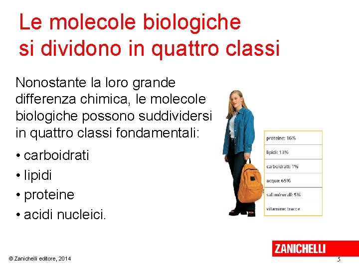 Le molecole biologiche si dividono in quattro classi Nonostante la loro grande differenza chimica,