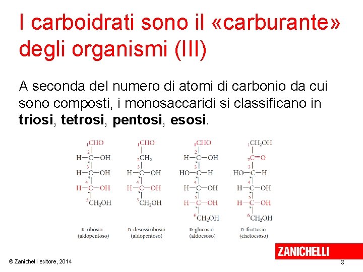 I carboidrati sono il «carburante» degli organismi (III) A seconda del numero di atomi