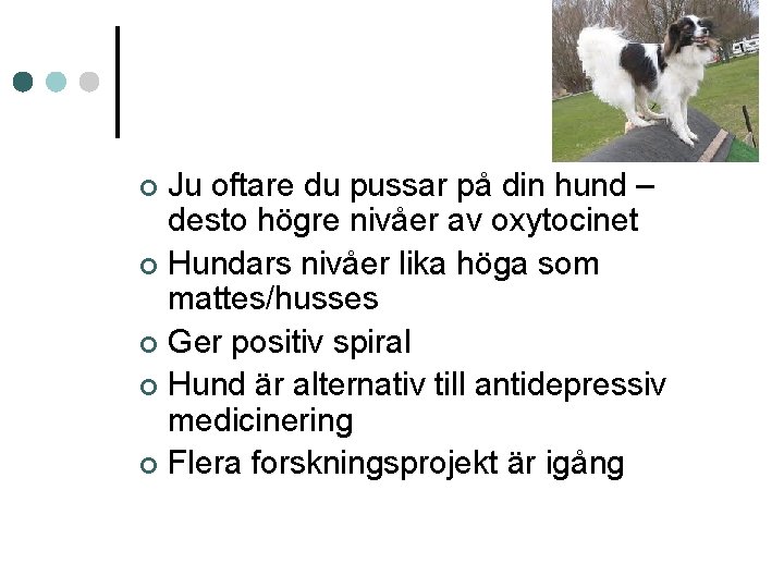 Ju oftare du pussar på din hund – desto högre nivåer av oxytocinet ¢ Ju oftare du pussar på din hund – desto högre nivåer av oxytocinet ¢