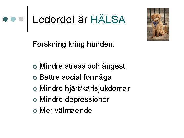 Ledordet är HÄLSA Forskning kring hunden: Mindre stress och ångest ¢ Bättre social förmåga Ledordet är HÄLSA Forskning kring hunden: Mindre stress och ångest ¢ Bättre social förmåga