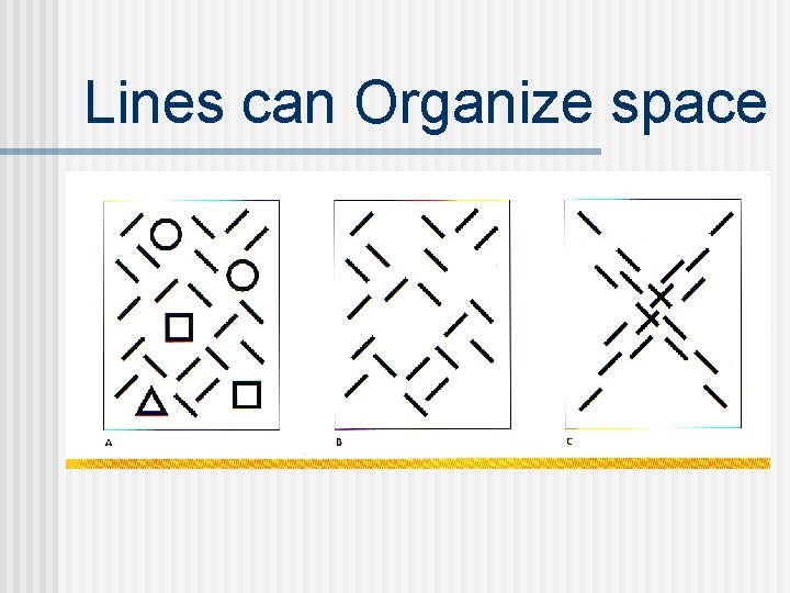 Lines can Organize space 