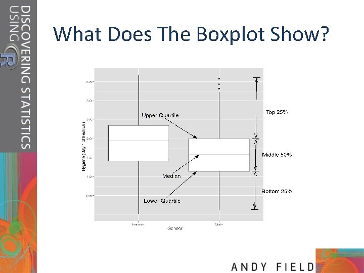 What Does The Boxplot Show? 