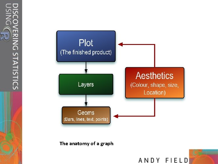 The anatomy of a graph 