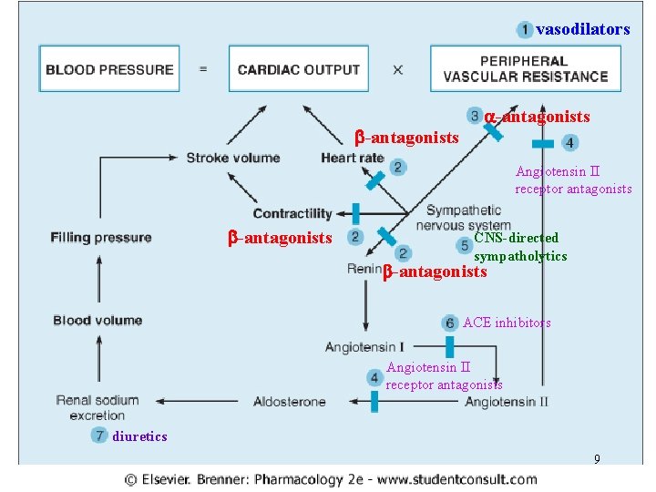 vasodilators b-antagonists a-antagonists Angiotensin II receptor antagonists b-antagonists CNS-directed sympatholytics b-antagonists ACE inhibitors Angiotensin vasodilators b-antagonists a-antagonists Angiotensin II receptor antagonists b-antagonists CNS-directed sympatholytics b-antagonists ACE inhibitors Angiotensin