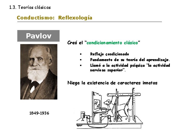 1. 3. Teorías clásicas Conductismo: Reflexología Pavlov Creó el “condicionamiento clásico” § § §