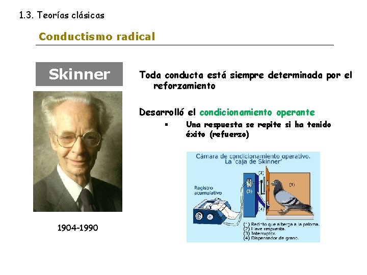 1. 3. Teorías clásicas Conductismo radical Skinner Toda conducta está siempre determinada por el