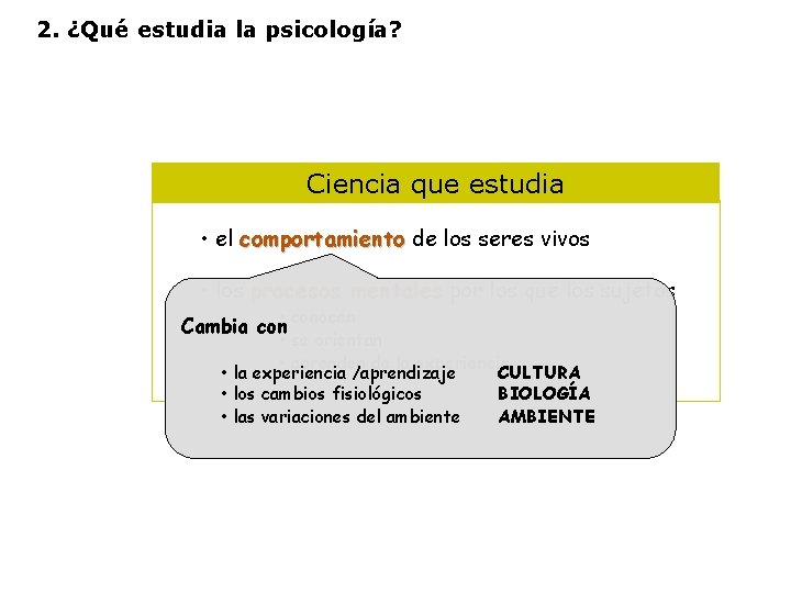 2. ¿Qué estudia la psicología? Ciencia que estudia • el comportamiento de los seres