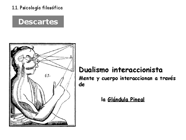 1. 1. Psicología filosófica Descartes Dualismo interaccionista Mente y cuerpo interaccionan a través de