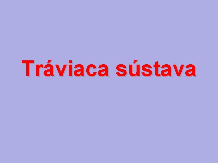 Tráviaca sústava 