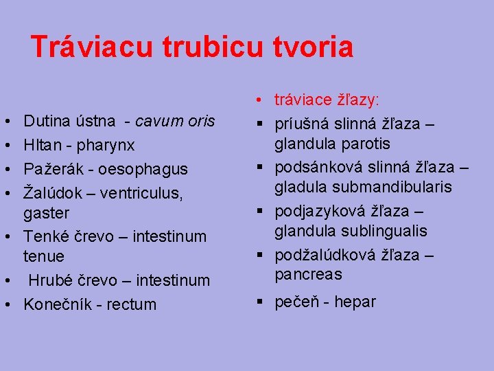 Tráviacu trubicu tvoria • • Dutina ústna - cavum oris Hltan - pharynx Pažerák