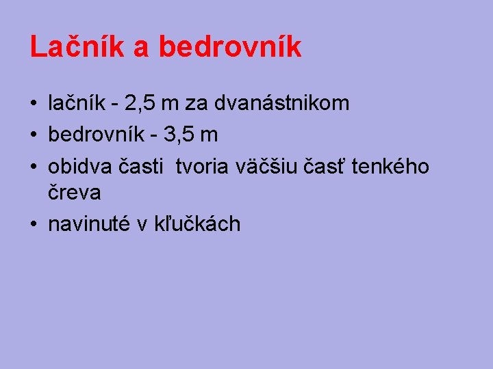 Lačník a bedrovník • lačník - 2, 5 m za dvanástnikom • bedrovník -