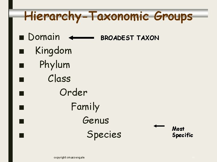 Hierarchy-Taxonomic Groups ■ Domain BROADEST TAXON ■ Kingdom ■ Phylum ■ Class ■ Order Hierarchy-Taxonomic Groups ■ Domain BROADEST TAXON ■ Kingdom ■ Phylum ■ Class ■ Order