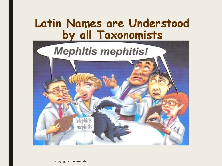 Latin Names are Understood by all Taxonomists copyright cmassengale 6 Latin Names are Understood by all Taxonomists copyright cmassengale 6