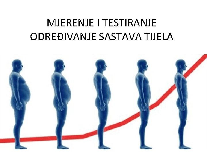 MJERENJE I TESTIRANJE ODREĐIVANJE SASTAVA TIJELA 