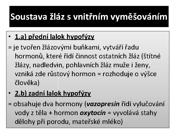 Soustava žláz s vnitřním vyměšováním • 1. a) přední lalok hypofýzy = je tvořen