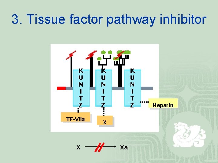 3. Tissue factor pathway inhibitor Heparin TF-VIIa X Xa 