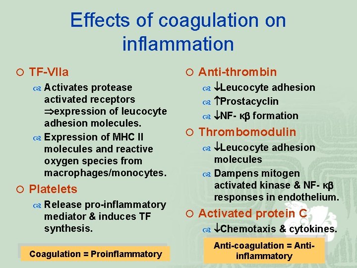 Effects of coagulation on inflammation ¡ TF-VIIa Activates protease activated receptors expression of leucocyte