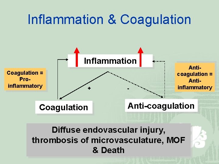 Inflammation & Coagulation Inflammation Coagulation = Proinflammatory + Coagulation - Anticoagulation = Antiinflammatory Anti-coagulation