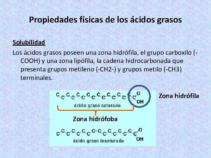 Propiedades físicas de los ácidos grasos Solubilidad Los ácidos grasos poseen una zona hidrófila,