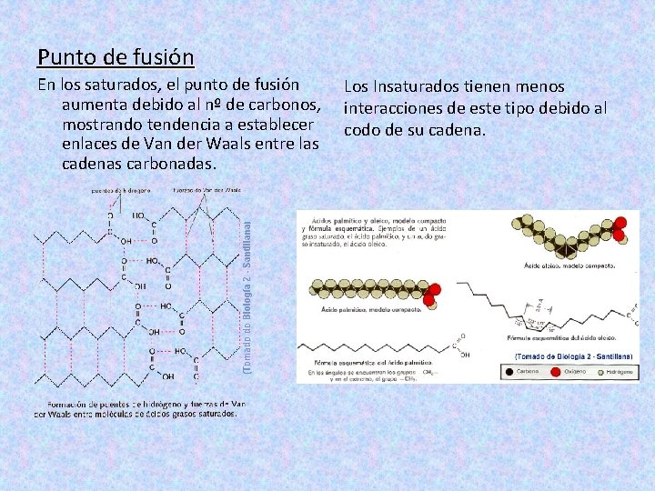 Punto de fusión En los saturados, el punto de fusión aumenta debido al nº