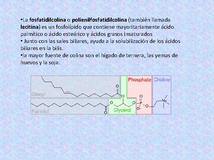  • La fosfatidilcolina o polienilfosfatidilcolina (también llamada lecitina) es un fosfolípido que contiene