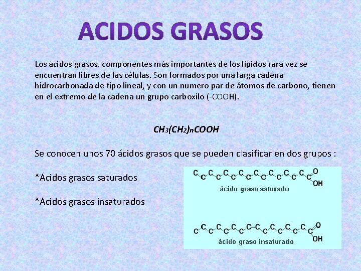 Los ácidos grasos, componentes más importantes de los lípidos rara vez se encuentran libres