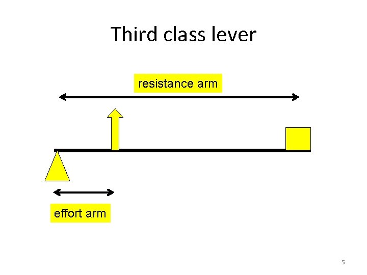 Third class lever resistance arm effort arm 5 