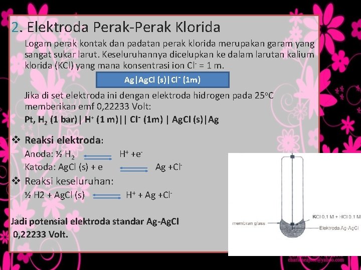 2. Elektroda Perak-Perak Klorida Logam perak kontak dan padatan perak klorida merupakan garam yang