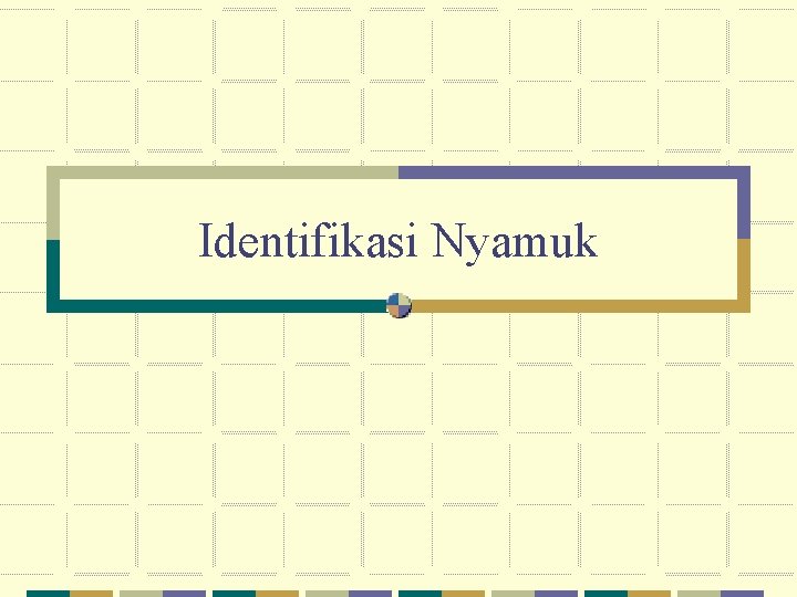 Identifikasi Nyamuk 