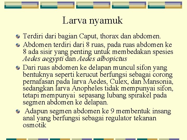Larva nyamuk Terdiri dari bagian Caput, thorax dan abdomen. Abdomen terdiri dari 8 ruas,