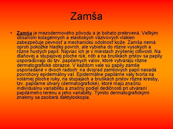 Zamša • Zamša je mezodermového pôvodu a je bohato prekrvená. Veľkým obsahom kolagénnych a